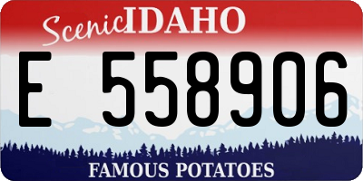 ID license plate E558906