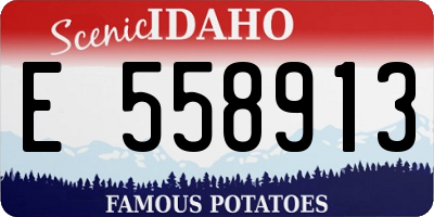 ID license plate E558913