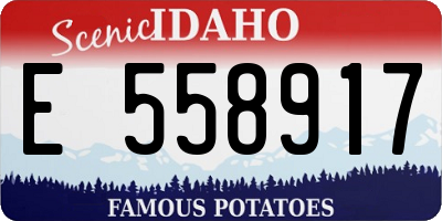 ID license plate E558917