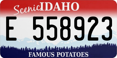 ID license plate E558923