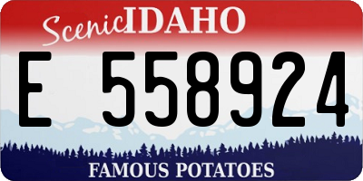ID license plate E558924