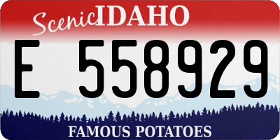 ID license plate E558929