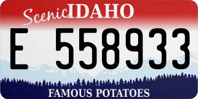 ID license plate E558933