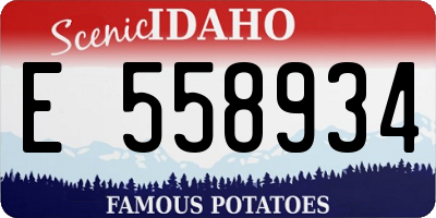 ID license plate E558934