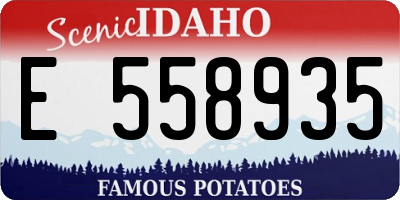 ID license plate E558935