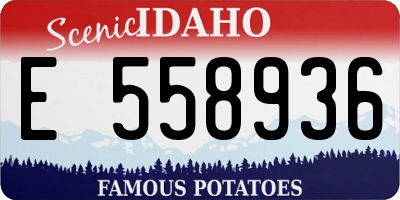 ID license plate E558936