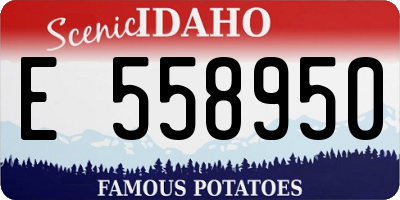 ID license plate E558950