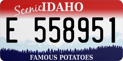 ID license plate E558951