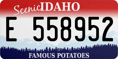 ID license plate E558952
