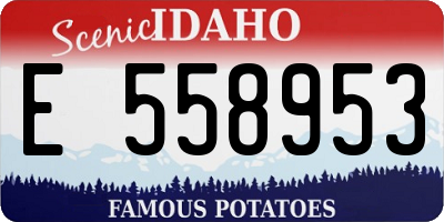 ID license plate E558953