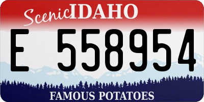 ID license plate E558954