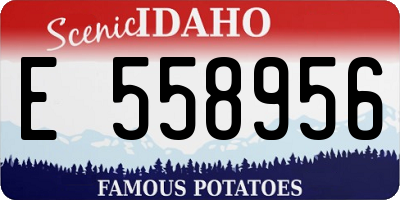 ID license plate E558956