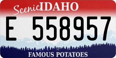 ID license plate E558957