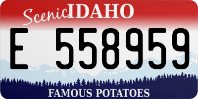 ID license plate E558959