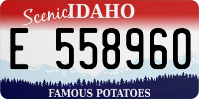ID license plate E558960