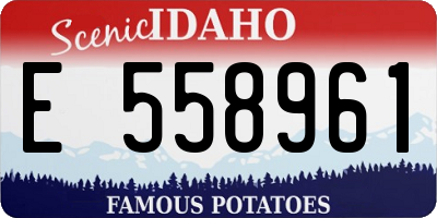 ID license plate E558961
