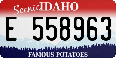 ID license plate E558963