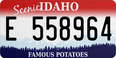ID license plate E558964
