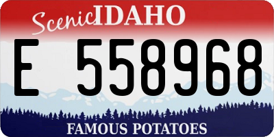 ID license plate E558968