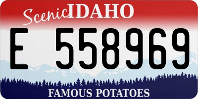 ID license plate E558969