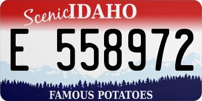 ID license plate E558972