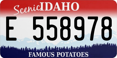 ID license plate E558978