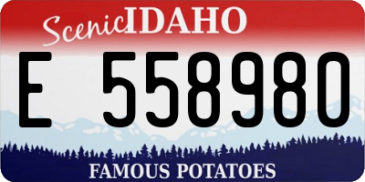 ID license plate E558980