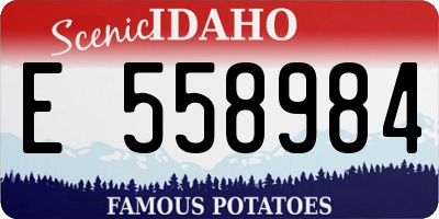 ID license plate E558984