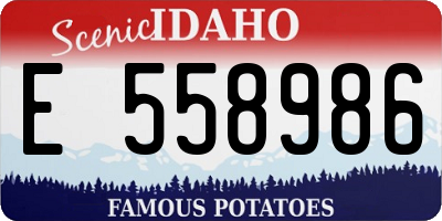 ID license plate E558986