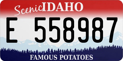 ID license plate E558987