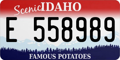 ID license plate E558989