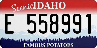 ID license plate E558991