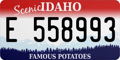 ID license plate E558993