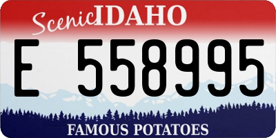 ID license plate E558995