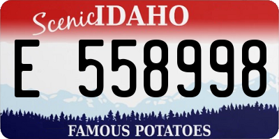 ID license plate E558998