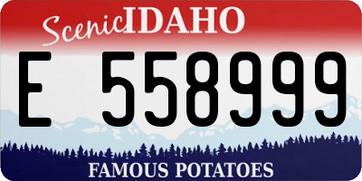 ID license plate E558999