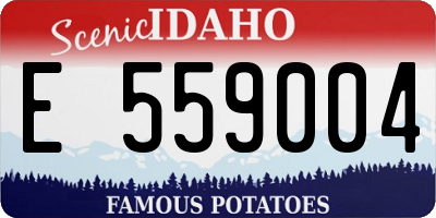 ID license plate E559004