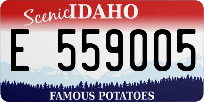ID license plate E559005