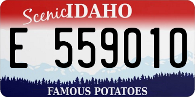 ID license plate E559010