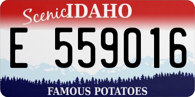 ID license plate E559016