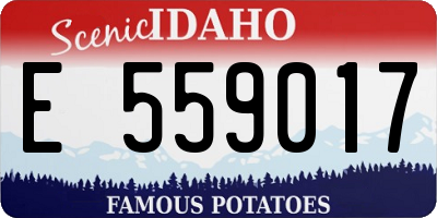 ID license plate E559017