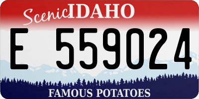 ID license plate E559024