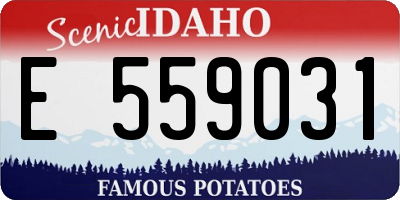 ID license plate E559031