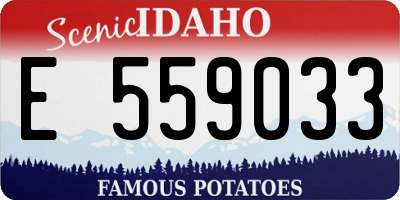 ID license plate E559033