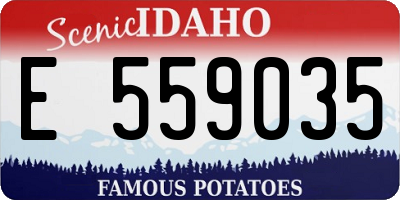ID license plate E559035