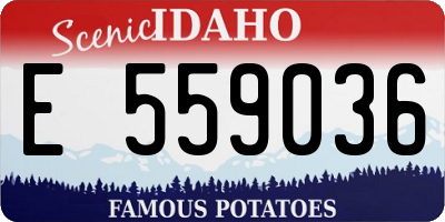 ID license plate E559036