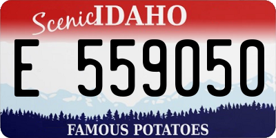 ID license plate E559050