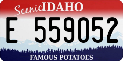 ID license plate E559052