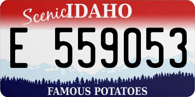 ID license plate E559053