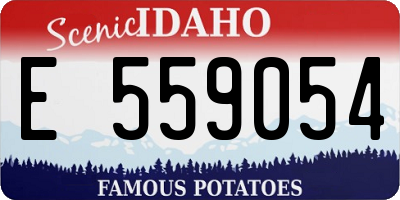 ID license plate E559054